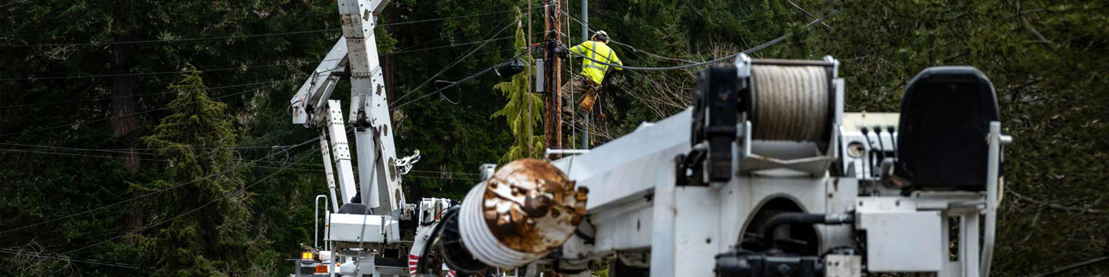 About Stone City Pole Lines
