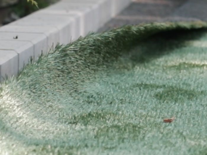 Crafting Active Spaces: A Backyard Designed for Family Fun