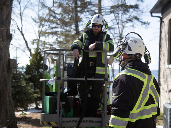 Cobra Cabling, a dynamic bracing system to support large, structurally vulnerable trees while allowing them the natural movement they need to remain healthy.